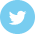 twitter.icon